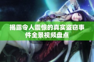 揭露令人震惊的真实盗窃事件全景视频盘点