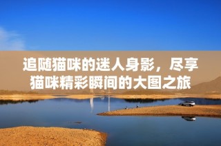 追随猫咪的迷人身影，尽享猫咪精彩瞬间的大图之旅