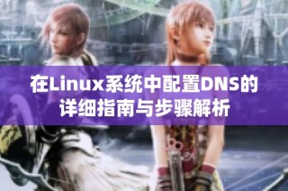 在Linux系统中配置DNS的详细指南与步骤解析