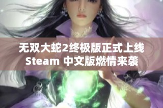无双大蛇2终极版正式上线Steam 中文版燃情来袭