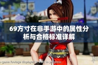 69方寸在非手游中的属性分析与合格标准详解