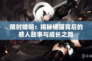限时婚姻：揭秘橘猫背后的感人故事与成长之路