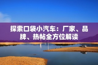 探索口袋小汽车：厂家、品牌、热帖全方位解读