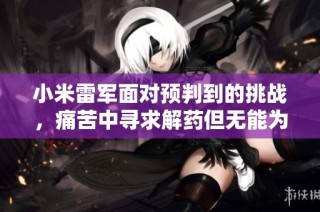 小米雷军面对预判到的挑战，痛苦中寻求解药但无能为力