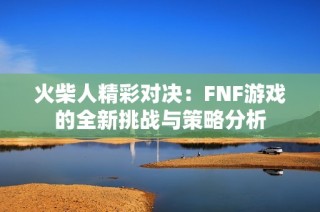 火柴人精彩对决：FNF游戏的全新挑战与策略分析