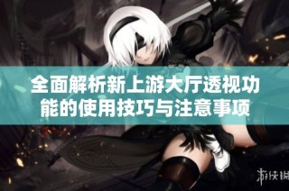 全面解析新上游大厅透视功能的使用技巧与注意事项