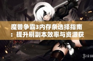 魔兽争霸3内存条选择指南：提升刷副本效率与资源获取