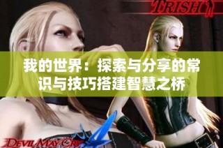 我的世界：探索与分享的常识与技巧搭建智慧之桥