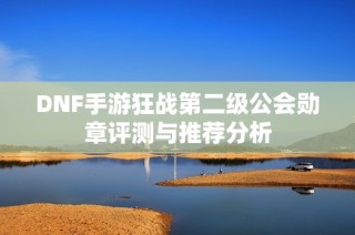 DNF手游狂战第二级公会勋章评测与推荐分析