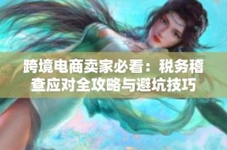 跨境电商卖家必看：税务稽查应对全攻略与避坑技巧