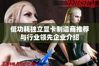 低功耗独立显卡制造商推荐与行业领先企业介绍