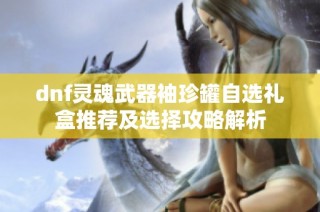 dnf灵魂武器袖珍罐自选礼盒推荐及选择攻略解析
