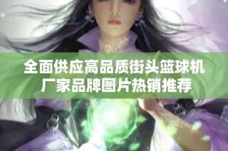全面供应高品质街头篮球机 厂家品牌图片热销推荐