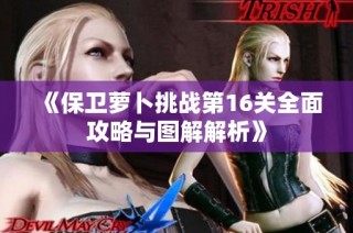 《保卫萝卜挑战第16关全面攻略与图解解析》