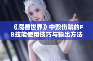 《魔兽世界》中毁伤贼的FB技能使用技巧与输出方法解析