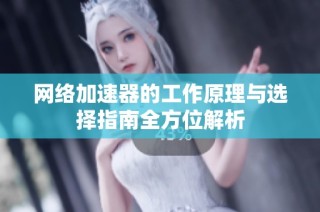网络加速器的工作原理与选择指南全方位解析