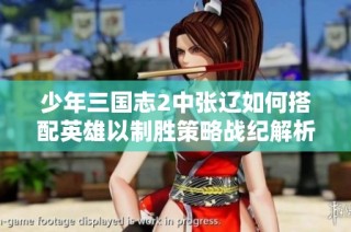 少年三国志2中张辽如何搭配英雄以制胜策略战纪解析
