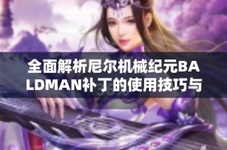 全面解析尼尔机械纪元BALDMAN补丁的使用技巧与指南