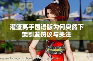 灌篮高手国语版为何突然下架引发热议与关注
