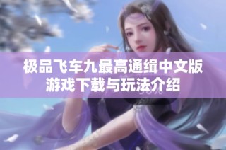 极品飞车九最高通缉中文版游戏下载与玩法介绍