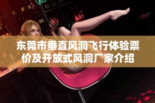 东莞市垂直风洞飞行体验票价及开放式风洞厂家介绍