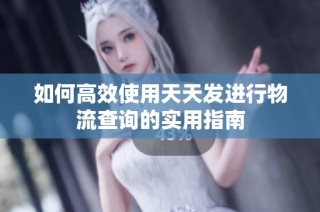 如何高效使用天天发进行物流查询的实用指南