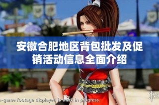 安徽合肥地区背包批发及促销活动信息全面介绍