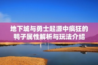 地下城与勇士起源中疯狂的鸭子属性解析与玩法介绍