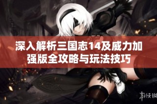 深入解析三国志14及威力加强版全攻略与玩法技巧