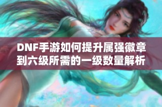 DNF手游如何提升属强徽章到六级所需的一级数量解析