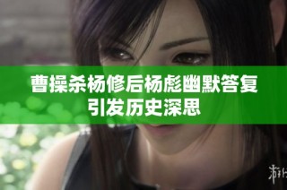 曹操杀杨修后杨彪幽默答复引发历史深思