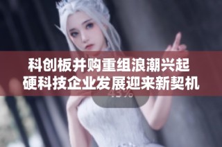 科创板并购重组浪潮兴起 硬科技企业发展迎来新契机