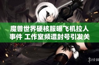 魔兽世界硬核服曝飞机拉人事件 工作室频遭封号引发关注
