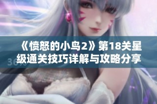 《愤怒的小鸟2》第18关星级通关技巧详解与攻略分享