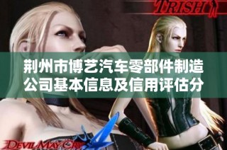 荆州市博艺汽车零部件制造公司基本信息及信用评估分析