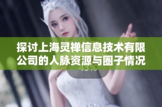 探讨上海灵禅信息技术有限公司的人脉资源与圈子情况