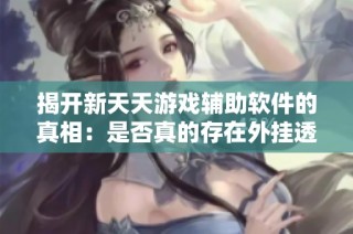 揭开新天天游戏辅助软件的真相：是否真的存在外挂透视功能？