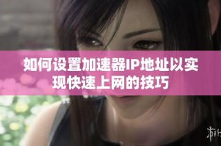 如何设置加速器IP地址以实现快速上网的技巧