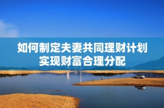 如何制定夫妻共同理财计划实现财富合理分配