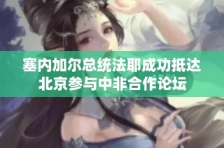塞内加尔总统法耶成功抵达北京参与中非合作论坛