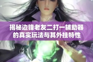 揭秘边锋老友二打一辅助器的真实玩法与其外挂特性