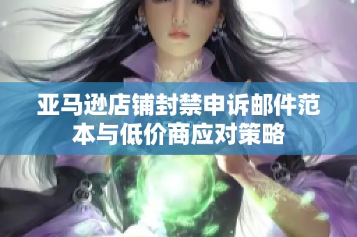 亚马逊店铺封禁申诉邮件范本与低价商应对策略